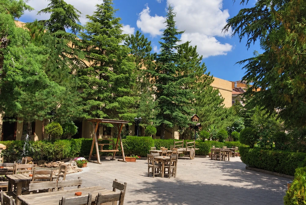 Hotel garden