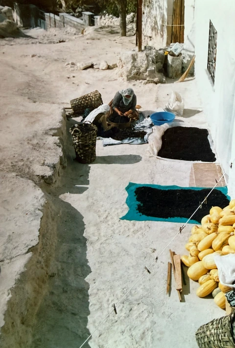 Une femme en plein air sur une ancienne photographie