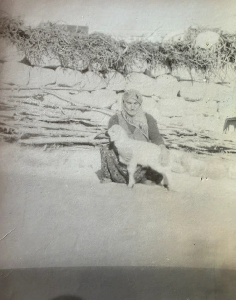 Une femme et un agneau sur une ancienne photographie