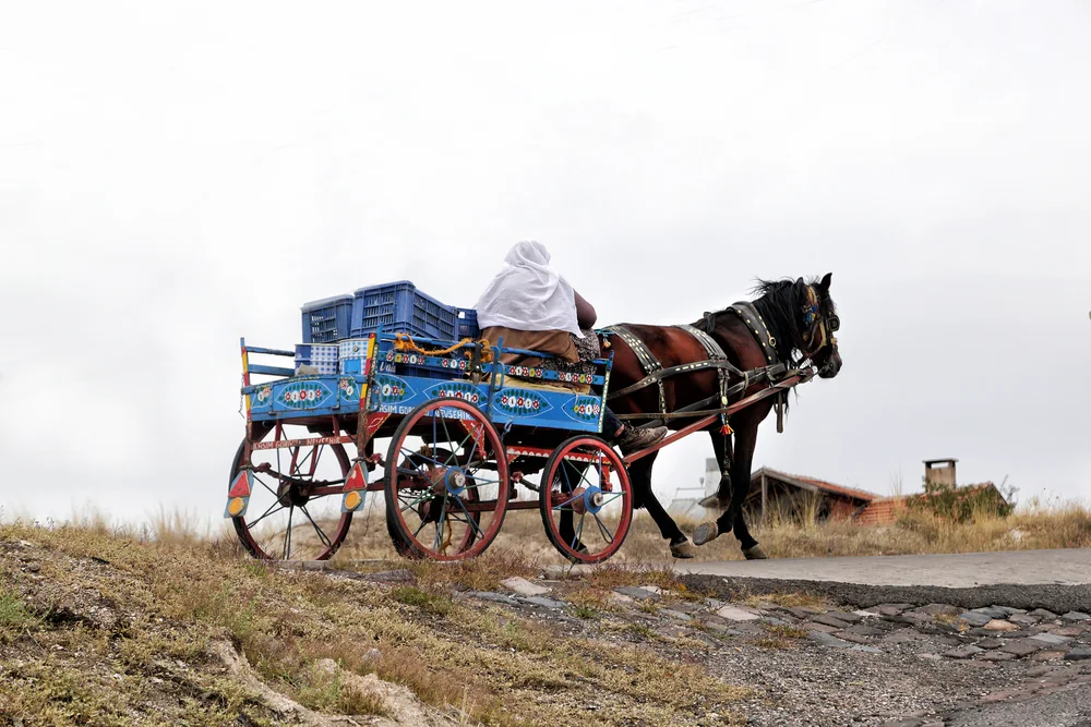 Carro trainato da un cavallo su una strada di paese